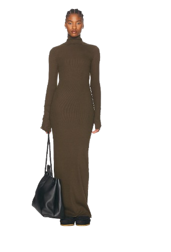 Eterne Long Sleeve Turtleneck Maxi Dress